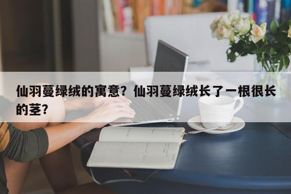 仙羽蔓绿绒的寓意？仙羽蔓绿绒长了一根很长的茎？-第1张图片-我家生活百科