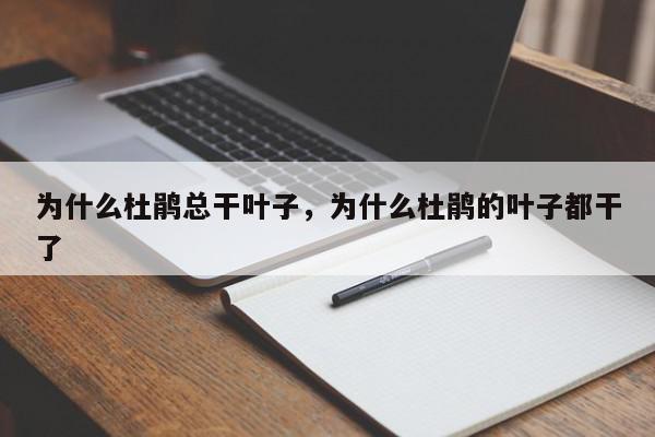 为什么杜鹃总干叶子，为什么杜鹃的叶子都干了-第1张图片-我家生活百科