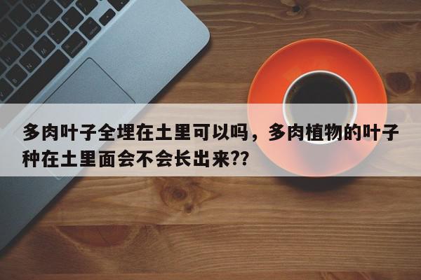 多肉叶子全埋在土里可以吗，多肉植物的叶子种在土里面会不会长出来?？-第1张图片-我家生活百科