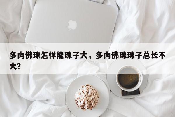多肉佛珠怎样能珠子大，多肉佛珠珠子总长不大？-第1张图片-我家生活百科