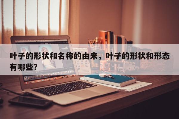 叶子的形状和名称的由来，叶子的形状和形态有哪些？-第1张图片-我家生活百科