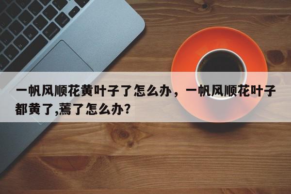 一帆风顺花黄叶子了怎么办，一帆风顺花叶子都黄了,蔫了怎么办？-第1张图片-我家生活百科