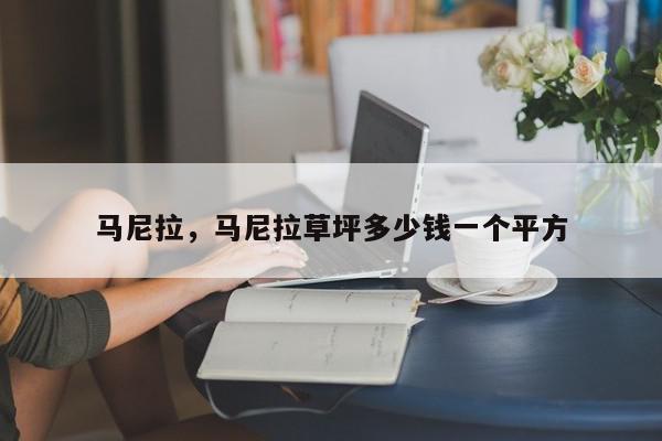 马尼拉，马尼拉草坪多少钱一个平方-第1张图片-我家生活百科