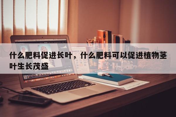 什么肥料促进长叶，什么肥料可以促进植物茎叶生长茂盛-第1张图片-我家生活百科