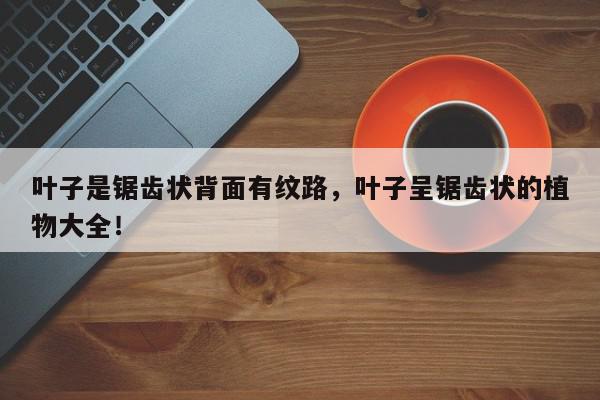 叶子是锯齿状背面有纹路，叶子呈锯齿状的植物大全！-第1张图片-我家生活百科