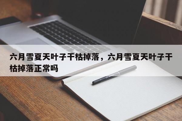 六月雪夏天叶子干枯掉落，六月雪夏天叶子干枯掉落正常吗-第1张图片-我家生活百科