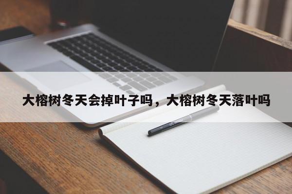 大榕树冬天会掉叶子吗，大榕树冬天落叶吗-第1张图片-我家生活百科