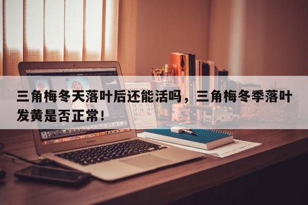 三角梅冬天落叶后还能活吗，三角梅冬季落叶发黄是否正常！-第1张图片-我家生活百科