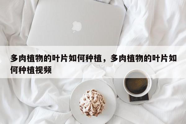 多肉植物的叶片如何种植，多肉植物的叶片如何种植视频-第1张图片-我家生活百科