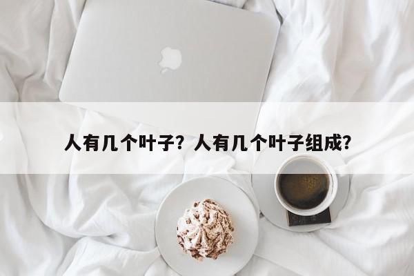 人有几个叶子？人有几个叶子组成？-第1张图片-我家生活百科
