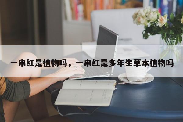 一串红是植物吗，一串红是多年生草本植物吗-第1张图片-我家生活百科