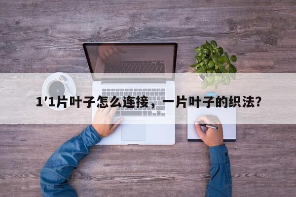 1′1片叶子怎么连接，一片叶子的织法？-第1张图片-我家生活百科