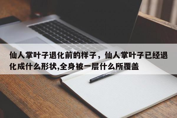 仙人掌叶子退化前的样子，仙人掌叶子已经退化成什么形状,全身被一层什么所覆盖-第1张图片-我家生活百科