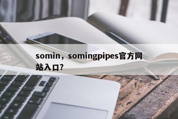 somin，somingpipes官方网站入口？-第1张图片-我家生活百科