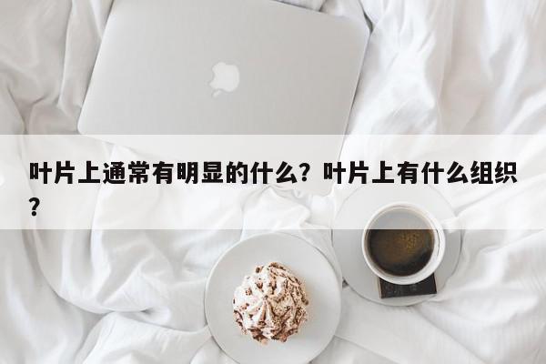 叶片上通常有明显的什么？叶片上有什么组织？-第1张图片-我家生活百科