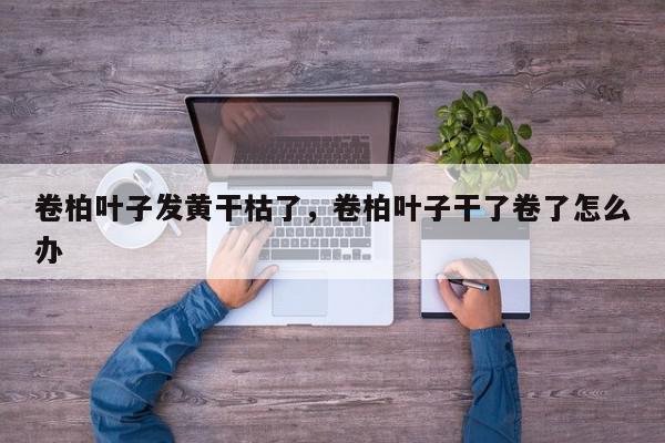 卷柏叶子发黄干枯了，卷柏叶子干了卷了怎么办-第1张图片-我家生活百科