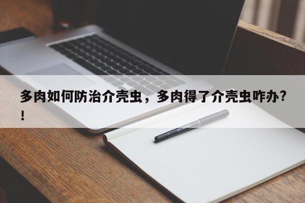 多肉如何防治介壳虫，多肉得了介壳虫咋办?！-第1张图片-我家生活百科