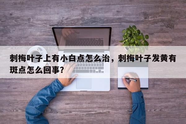 刺梅叶子上有小白点怎么治，刺梅叶子发黄有斑点怎么回事？-第1张图片-我家生活百科