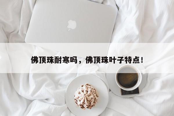 佛顶珠耐寒吗，佛顶珠叶子特点！-第1张图片-我家生活百科