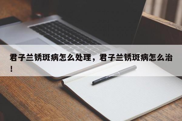 君子兰锈斑病怎么处理，君子兰锈斑病怎么治！-第1张图片-我家生活百科