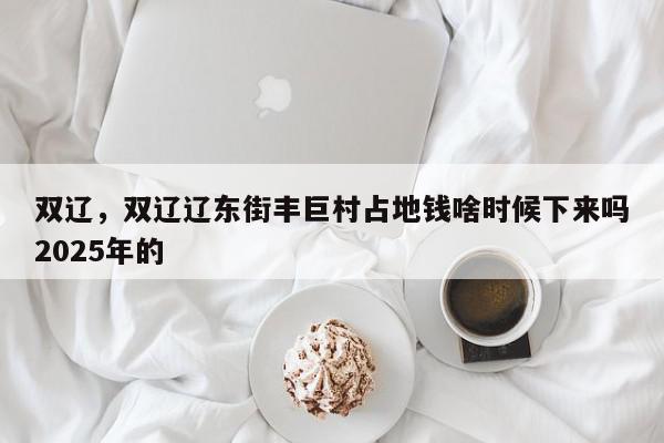 双辽，双辽辽东街丰巨村占地钱啥时候下来吗2025年的-第1张图片-我家生活百科