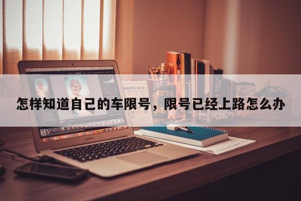 怎样知道自己的车限号，限号已经上路怎么办-第1张图片-我家生活百科