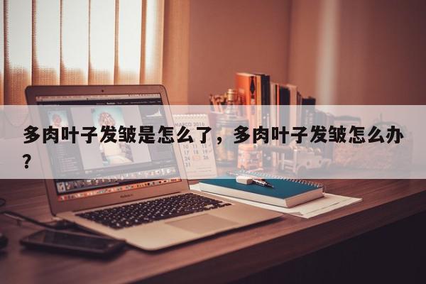 多肉叶子发皱是怎么了，多肉叶子发皱怎么办？-第1张图片-我家生活百科