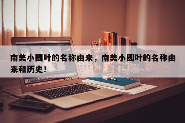 南美小圆叶的名称由来，南美小圆叶的名称由来和历史！-第1张图片-我家生活百科