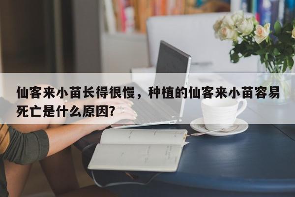 仙客来小苗长得很慢，种植的仙客来小苗容易死亡是什么原因？-第1张图片-我家生活百科