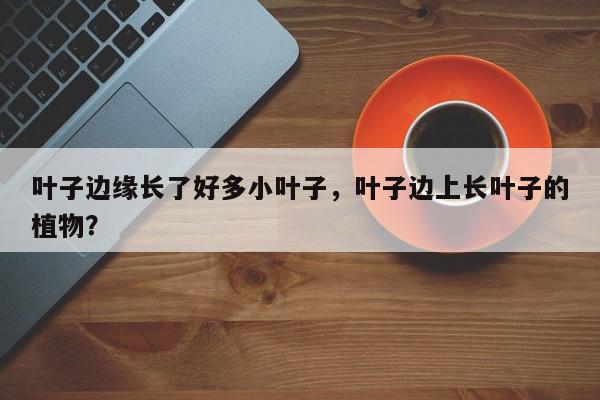 叶子边缘长了好多小叶子，叶子边上长叶子的植物？-第1张图片-我家生活百科