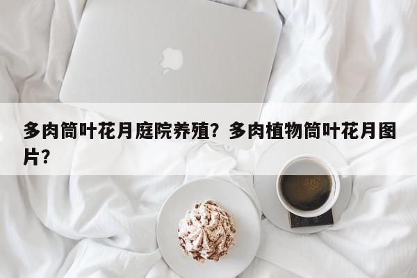 多肉筒叶花月庭院养殖？多肉植物筒叶花月图片？-第1张图片-我家生活百科