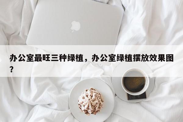 办公室最旺三种绿植，办公室绿植摆放效果图？-第1张图片-我家生活百科