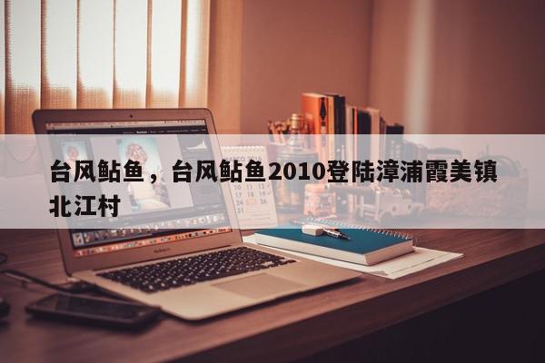 台风鲇鱼，台风鲇鱼2010登陆漳浦霞美镇北江村-第1张图片-我家生活百科