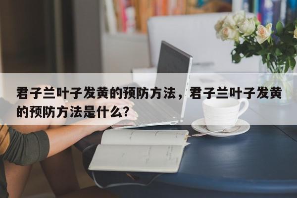 君子兰叶子发黄的预防方法，君子兰叶子发黄的预防方法是什么？-第1张图片-我家生活百科