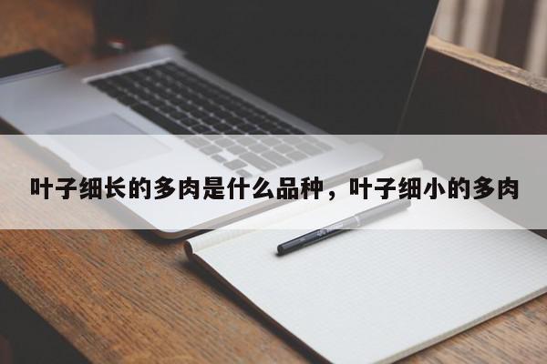 叶子细长的多肉是什么品种,叶子细小的多肉-第1张图片-我家生活百科 叶子细长的多肉是什么品种,叶子细小的多肉-第1张图片-我家生活百科