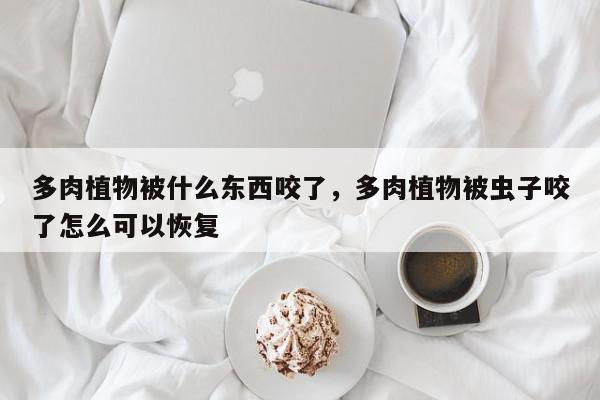多肉植物被什么东西咬了，多肉植物被虫子咬了怎么可以恢复-第1张图片-我家生活百科