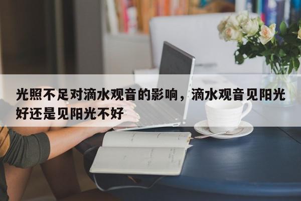 光照不足对滴水观音的影响，滴水观音见阳光好还是见阳光不好-第1张图片-我家生活百科