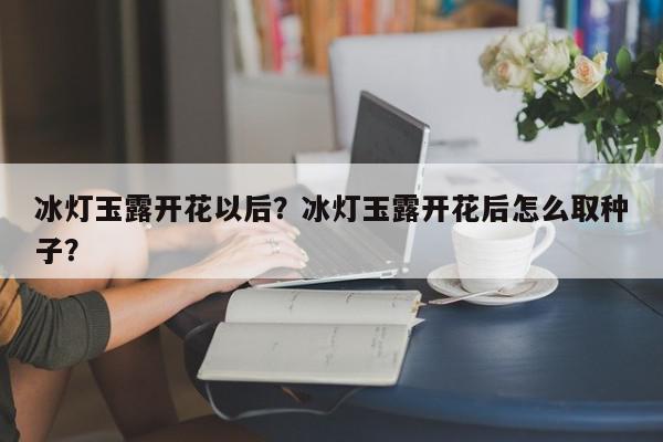 冰灯玉露开花以后？冰灯玉露开花后怎么取种子？-第1张图片-我家生活百科