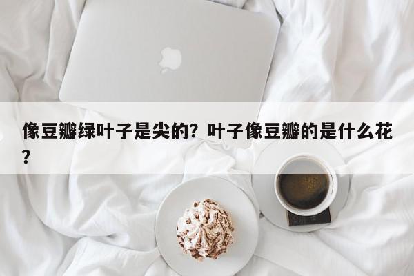 像豆瓣绿叶子是尖的？叶子像豆瓣的是什么花？-第1张图片-我家生活百科