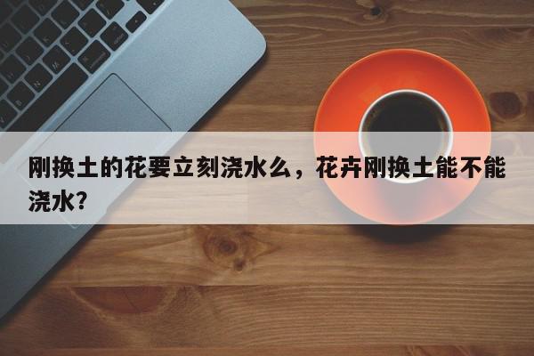 刚换土的花要立刻浇水么，花卉刚换土能不能浇水？-第1张图片-我家生活百科