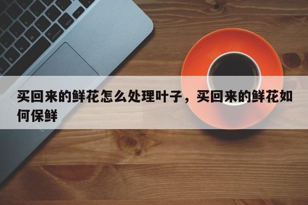 买回来的鲜花怎么处理叶子，买回来的鲜花如何保鲜-第1张图片-我家生活百科