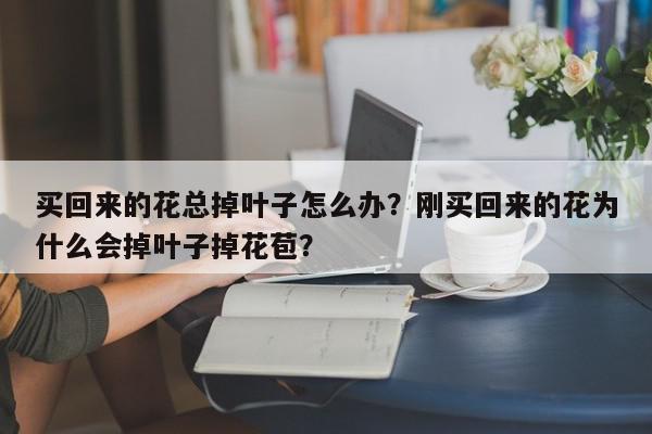 买回来的花总掉叶子怎么办？刚买回来的花为什么会掉叶子掉花苞？-第1张图片-我家生活百科