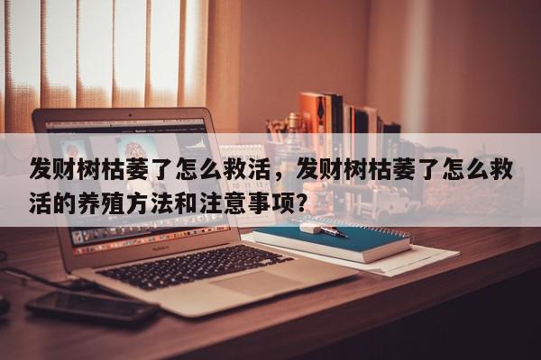 发财树枯萎了怎么救活，发财树枯萎了怎么救活的养殖方法和注意事项？-第1张图片-我家生活百科