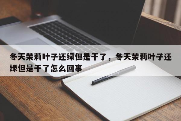 冬天茉莉叶子还绿但是干了，冬天茉莉叶子还绿但是干了怎么回事-第1张图片-我家生活百科