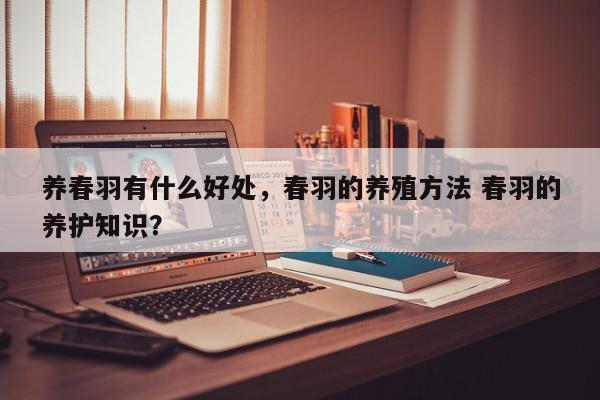 养春羽有什么好处，春羽的养殖方法 春羽的养护知识？-第1张图片-我家生活百科