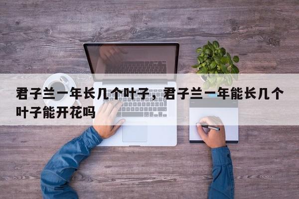 君子兰一年长几个叶子，君子兰一年能长几个叶子能开花吗-第1张图片-我家生活百科