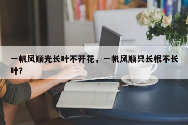 一帆风顺光长叶不开花，一帆风顺只长根不长叶？-第1张图片-我家生活百科