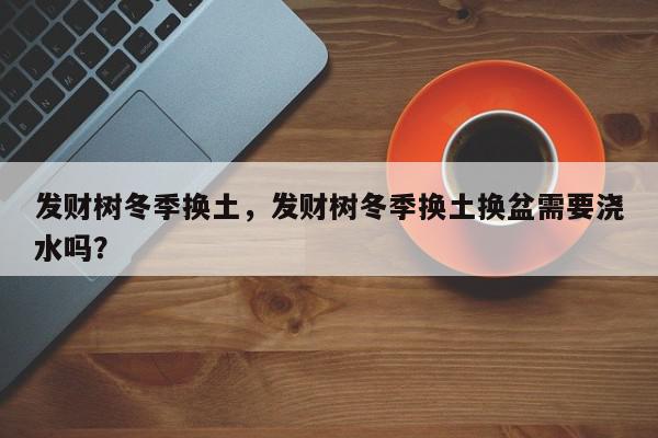 发财树冬季换土，发财树冬季换土换盆需要浇水吗？-第1张图片-我家生活百科