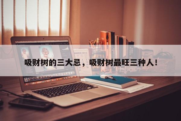 吸财树的三大忌，吸财树最旺三种人！-第1张图片-我家生活百科