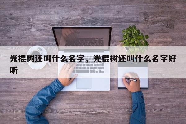 光棍树还叫什么名字，光棍树还叫什么名字好听-第1张图片-我家生活百科